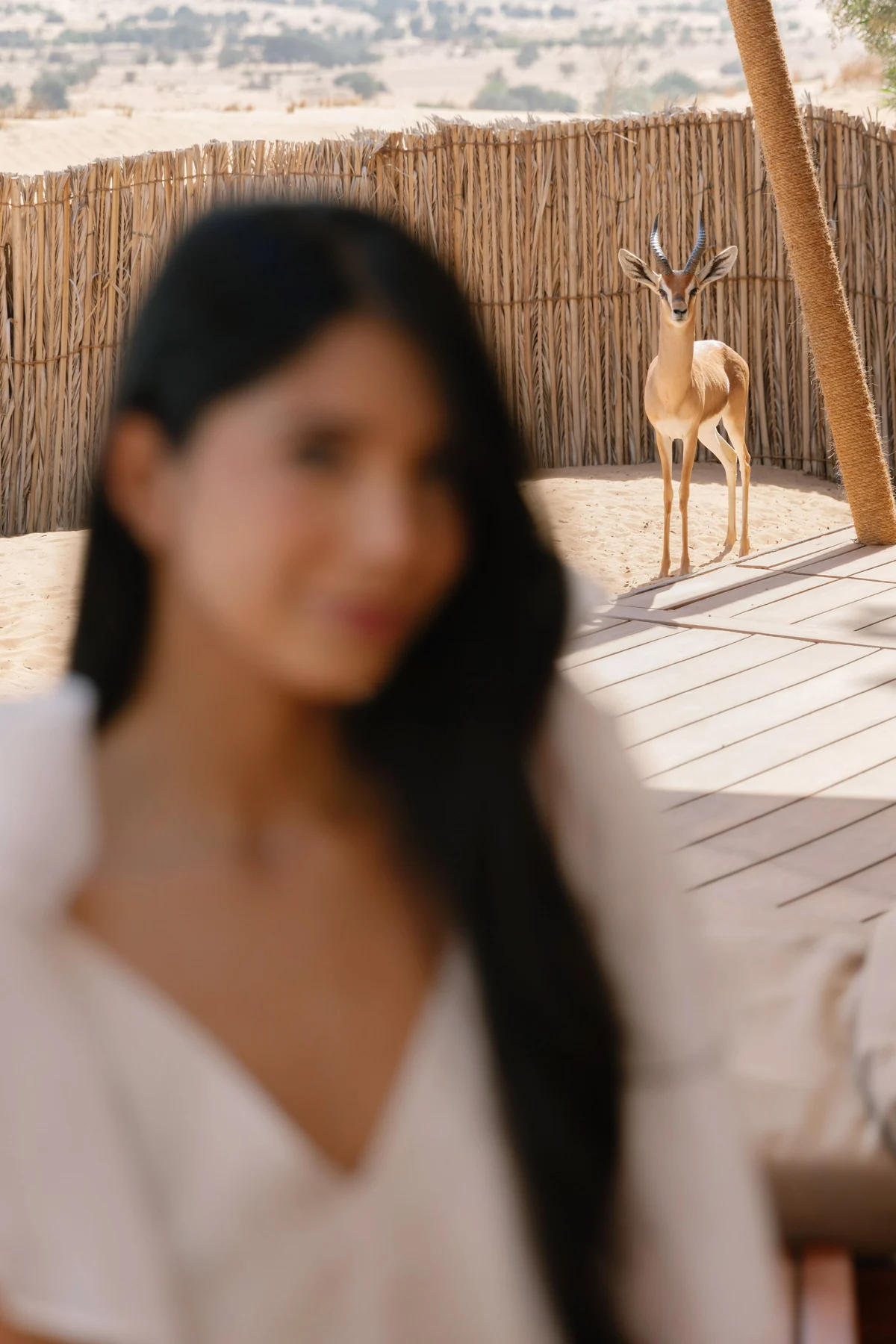 Arabian fairytale editorial at Al Maha Desert Resort, Dubai (17)
