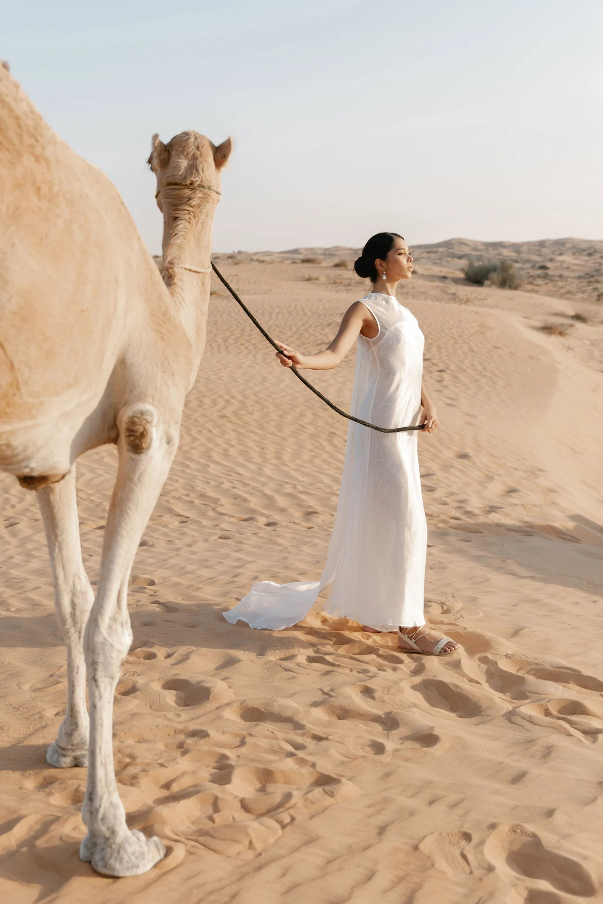 Arabian fairytale editorial at Al Maha Desert Resort, Dubai (72)
