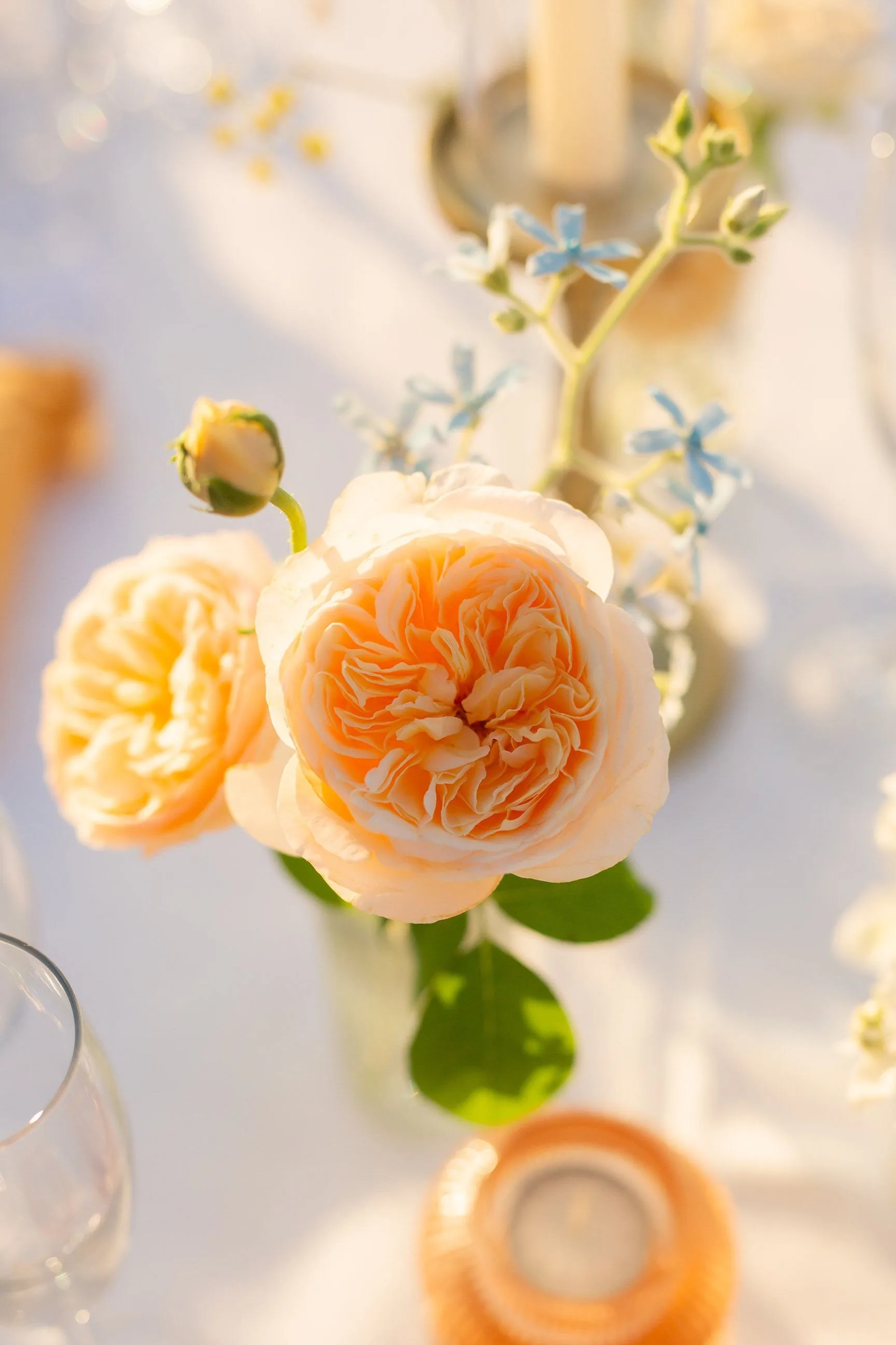 Savanna & Nick wedding at Casale del Gallo, Rome (51)